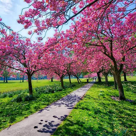 4 Bed In 73424 * 해러게이트