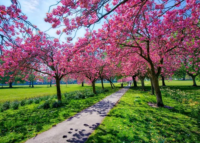 Сasa de vacaciones 4 Bed In Oc-73424